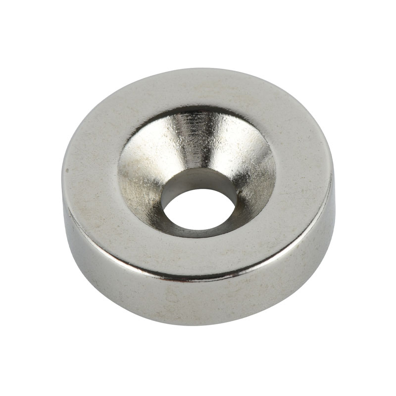 Magnet pengeras suara